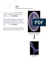 52923-Interferenza e Diffrazione PDF