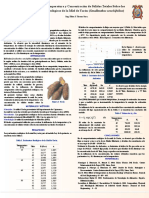 Rheology of Honey