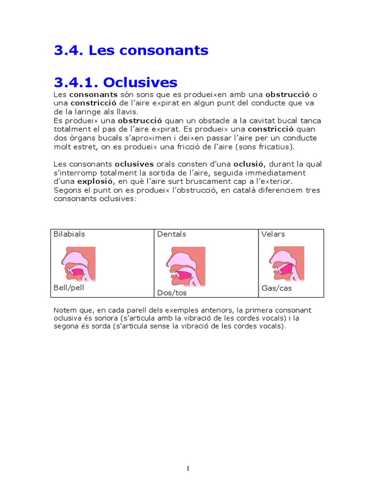 Les Consonants Oclusives PDF