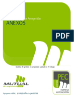 anexos_programa_pec_autogestion MUTUAL.pdf