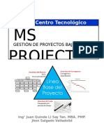 Gestión proyectos MS Project