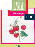 Plantio de Morango.pdf