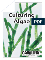 Culturing Algae