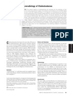 Neuroradiology of Cholesteatomas