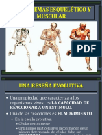 Los Sistemas Esquelético y Muscular