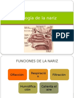 Fisiologia de La Nariz