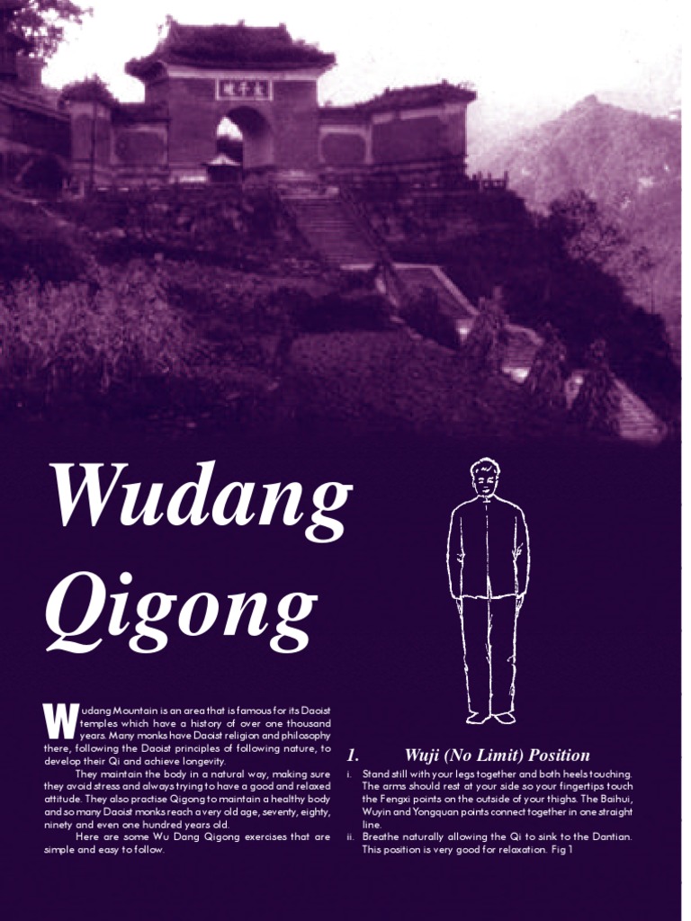 Wudang Qigong (Standing Postures) Michael Tse Qigong Tai Chi