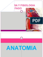 Bill Roy Ferrufino Mejia Anatomia de Esofago