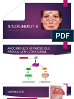 Rino Sinusitis