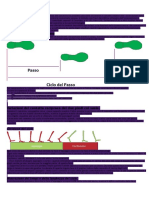 Il ciclo del passo, analisi completa.doc