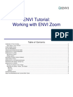 10 ENVI Zoom_Intro.pdf