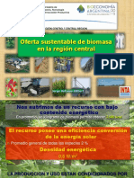 3 Oferta Sustentable de Biomasa en La Región Central Jorge Hilbert