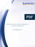Analiza situatiei socio-economice a judetului Dambovita.pdf