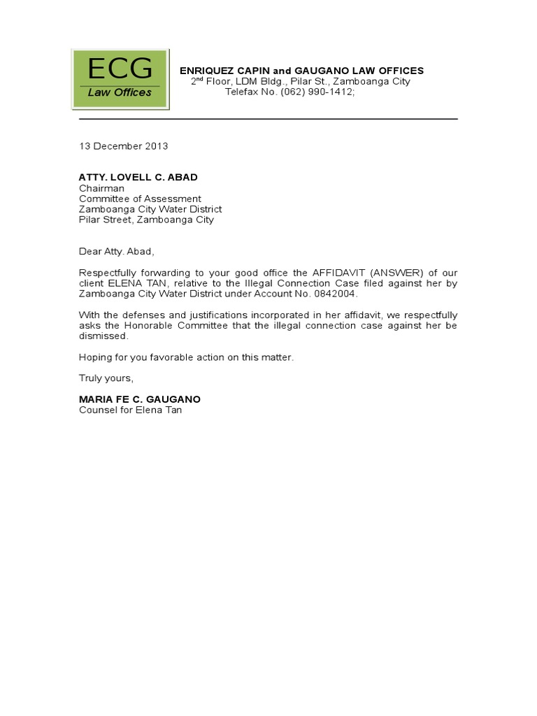 Affidavit Submission for Elena Tan | PDF | Law