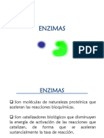 Enzimas.pdf