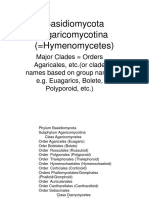 05 Agaricalesand otherCladeswithLamellae