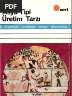 Asya Tipi Üretim Tarzi (ATÜT) - Chesneaux, Varga