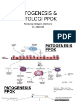 Patogenesis & Patologi Ppok