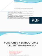 funciones y organos del sistema nervioso Iris Fabiola Hernandez Morales.ppt