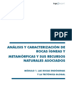 Módulo I Rocas Endógenas Tectónica Global