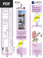 Promover e Avaliar o Uso Do Portugues