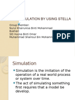 Simulation (1)