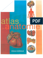 Atlas de Anatomir PDF