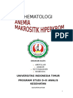 Anemia Makrositik Hiperkrom