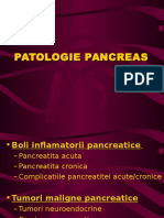 curs 5 pancreas.ppt