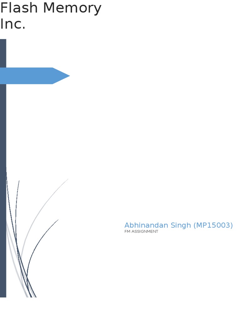 Flash Memory Inc PDF Investing Net Present Value