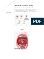 Fisiologia Da Voz e Noções de Canto