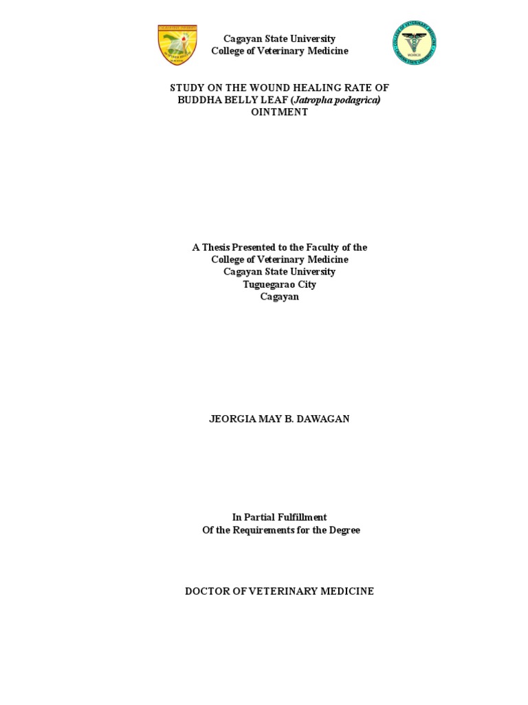 Wound healing thesis 05 image