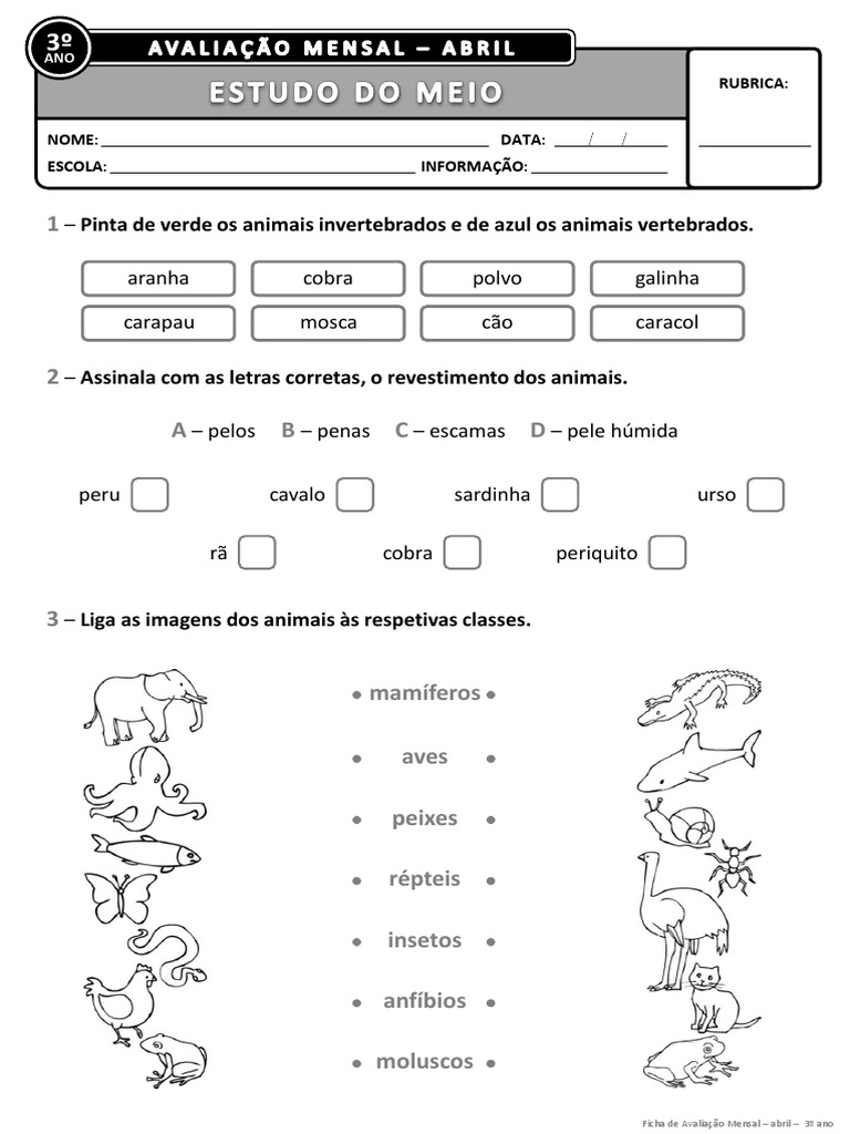 Fichas de Avaliação 3º Ano - Estudo do Meio | PDF | Artes Linguísticas ...