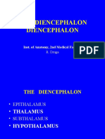 The Diencephalon Diencephalon: Inst. of Anatomy, 2nd Medical Faculty