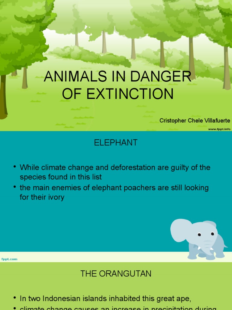 essay about animals in danger of extinction