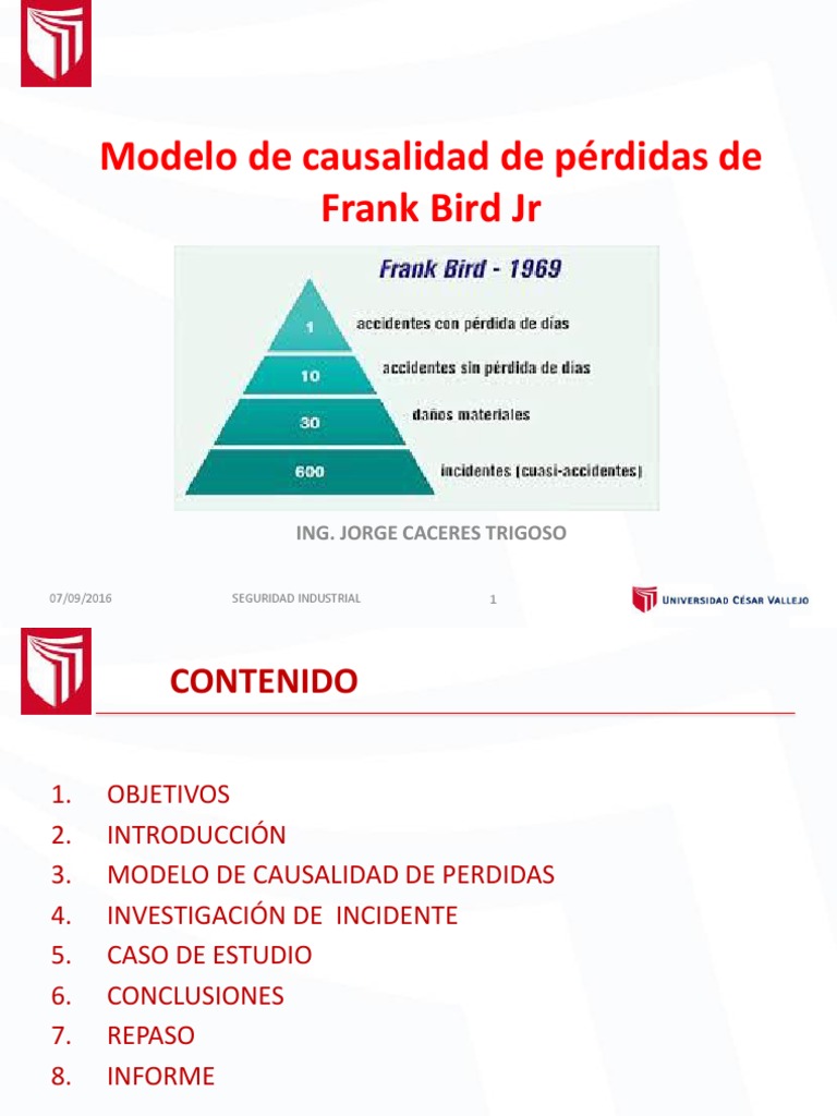SESION 3 Modelo Causal Frank Bird | PDF | Accidentes | Corrosión
