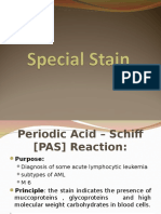 Special Stain PAS