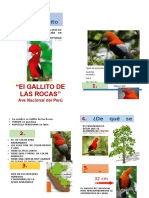 Díptico Del Gallito de Las Rocas