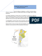 La Problematica Regional de La Argentina PDF