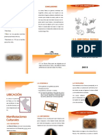nazca-110729003827-phpapp01.pdf