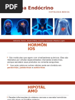 Sistema Endócrino