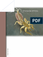 08-Flowers-Ephemeroptera.pdf