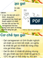 Cơ Chế Tạo Gel-carrageenan-pp