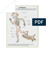 Enciclopedia de El Cuerpo Humano