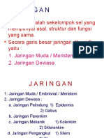 Kuliah Jaringan Meristem