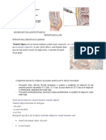 Biomolecule Adipocitare Şi Importanţa Lor