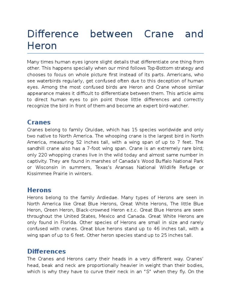 Difference Between Crane and Heron Holarctic Birds Birds