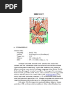 Download BELENGGU by Risna Aruna SN332139424 doc pdf