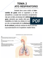 Anatomía Aplicada de 1º BAchillerato. Tema 3: Respiración