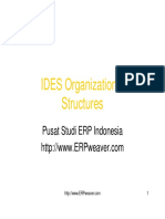 IDES Organizational Structures PDF